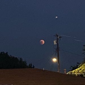 Meet your Posher, Rebekah